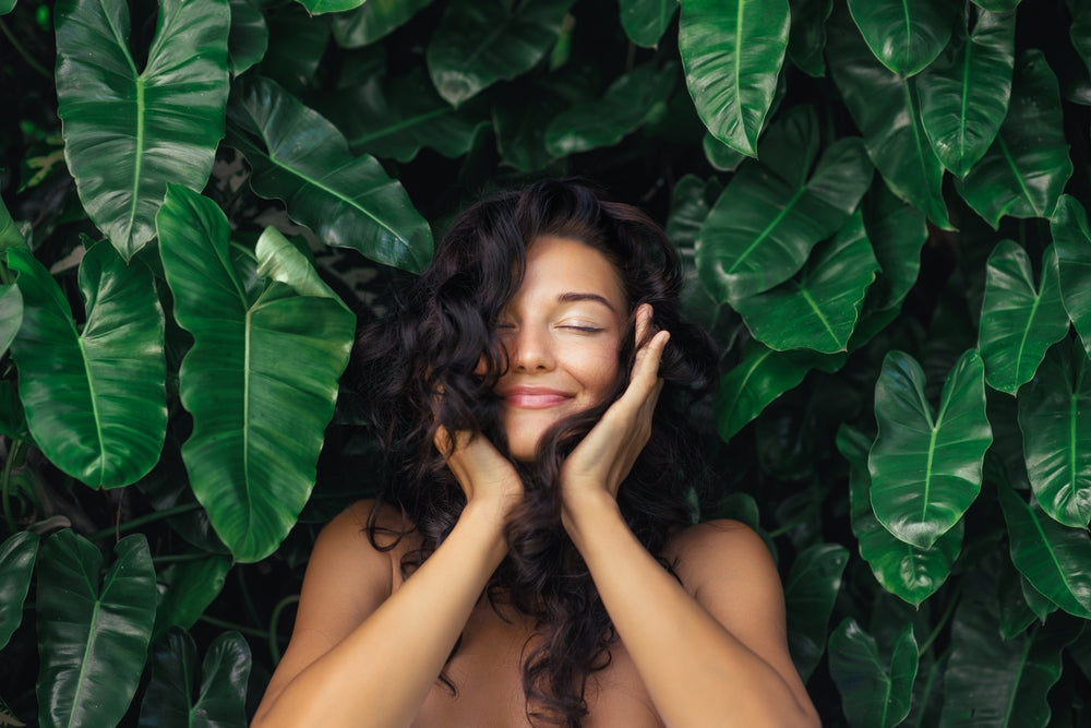 Best Herbal Hair Oils for Hair Fall & Growth | PowerLeaf