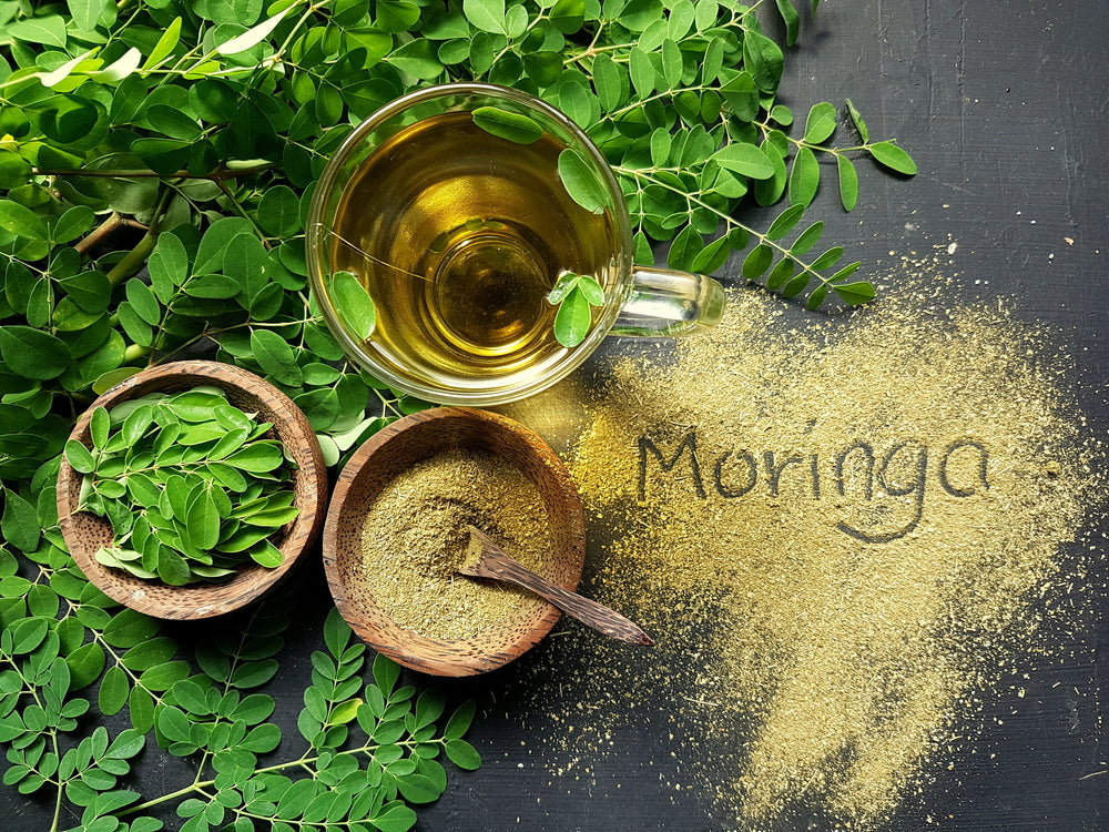 Moringa Powder & Herbal Supplements | PowerLeaf Wellness
